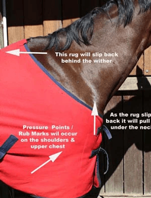 horse blanket rubbing wither pressure sores